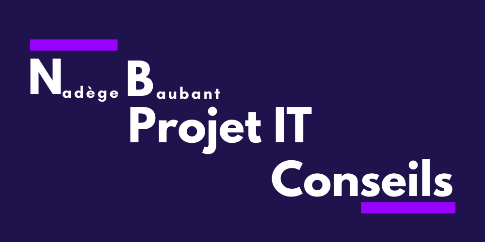 NB Projet IT Logo